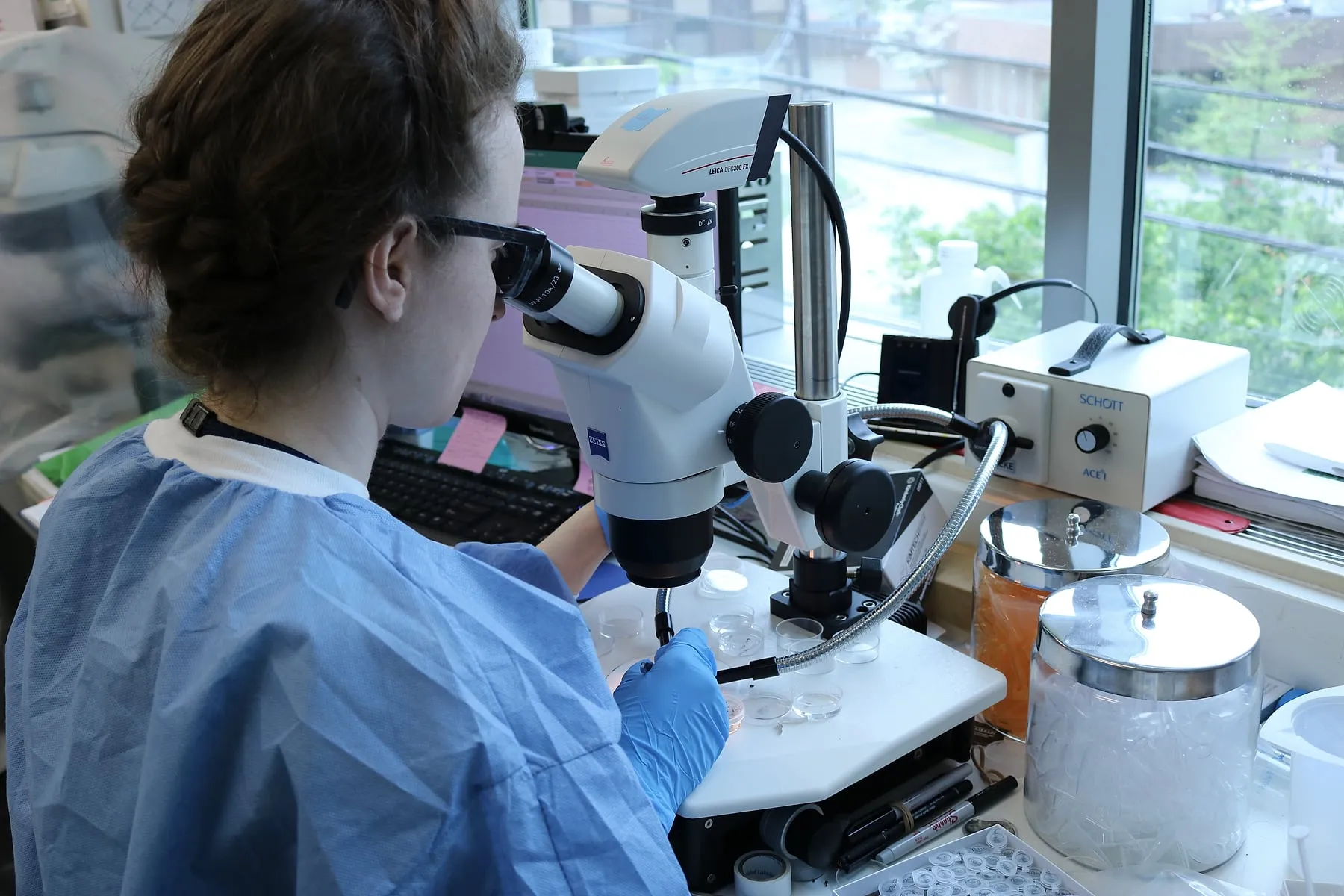 A laboratory scientist working at a microscope